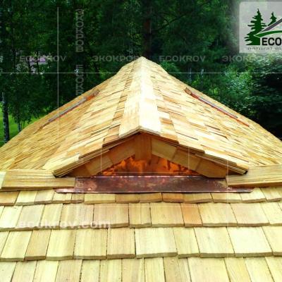 Holzschindeln Pinaty 2010 26