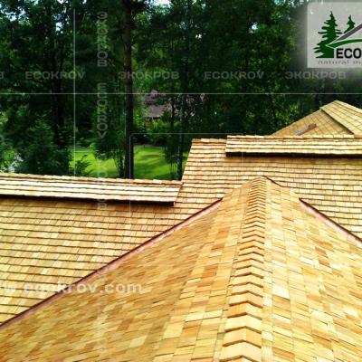 Holzschindeln Pinaty 2010 27