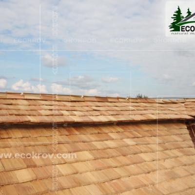 Holzschindeln Papuschevo 2013 14