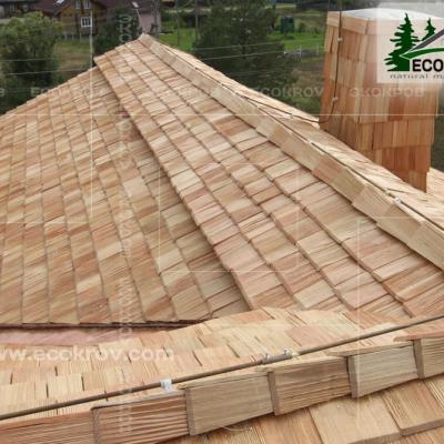 Holzschindeln Papuschevo 2013 17