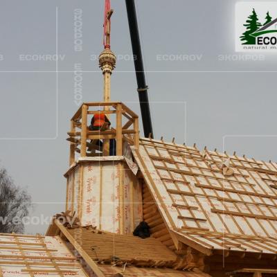 Glavka Novoivanovskoe 2014 06