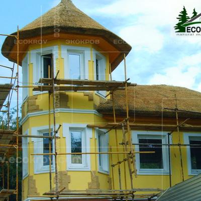 Kamysh Richmond 2004 13