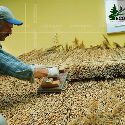 Kamysh Richmond 2004 14