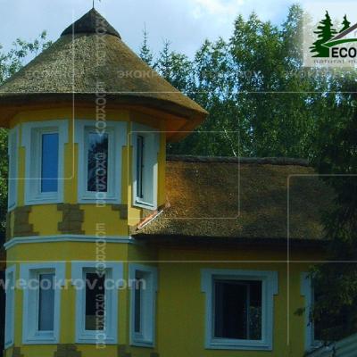 Kamysh Richmond 2004 16