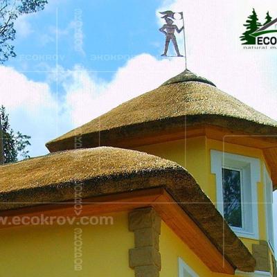 Kamysh Richmond 2004 19