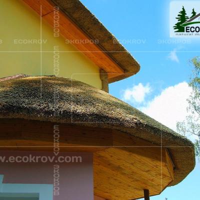 Kamysh Richmond 2004 22