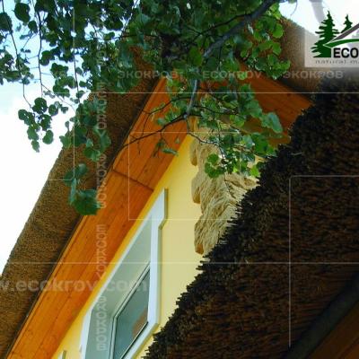 Kamysh Richmond 2004 23