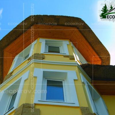 Kamysh Richmond 2004 24