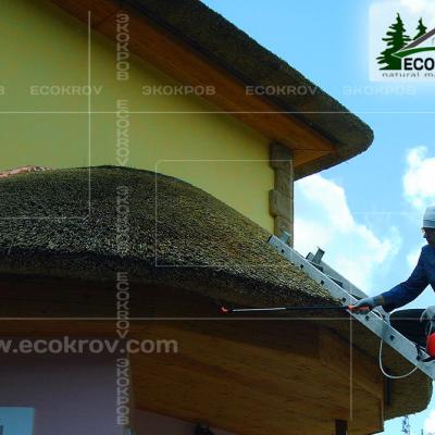 Kamysh Richmond 2004 25