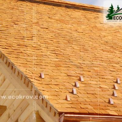 Holzschindeln Bel 2005 3