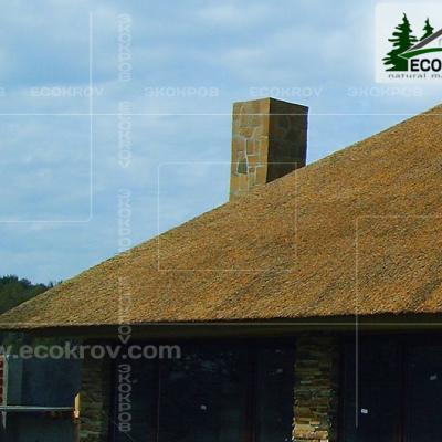 Kamysh Korobovo 2007 2