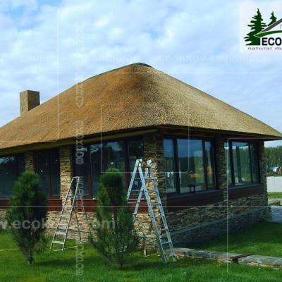 Kamysh Korobovo 2007 3