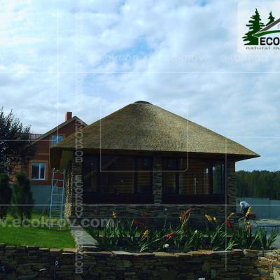 Kamysh Korobovo 2007 4