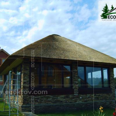 Kamysh Korobovo 2007 5