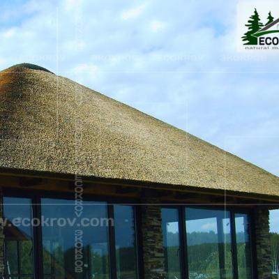 Kamysh Korobovo 2007 7