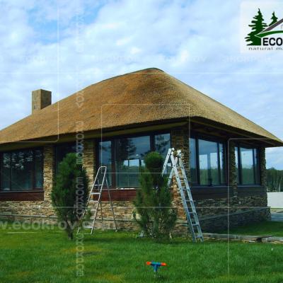 Kamysh Korobovo 2007 9