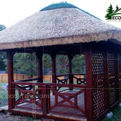 Московская область. 2007 год