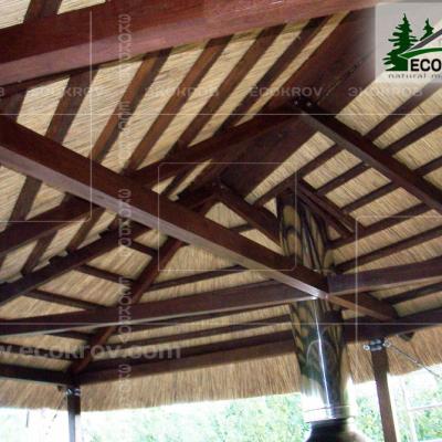 Kamysh Besedka Minsk 3