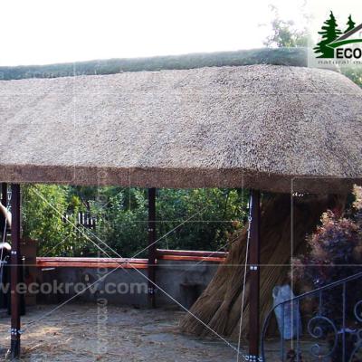 Kamysh Besedka Minsk 9