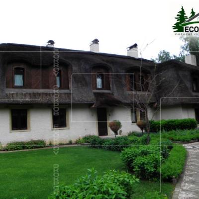 Kamysh Tagankovo 2007