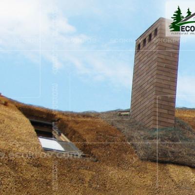 Kamysh Dnepr 2009 12