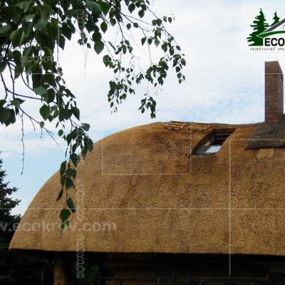 Kamysh Dnepr 2009 15