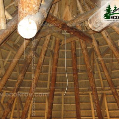 Kamysh Dnepr 2009 17