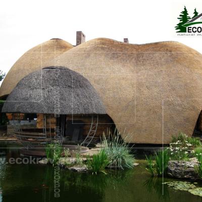 Украина. Днепропетровский район. 2009 год