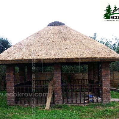 Kamysh Tagankovo 2009 13