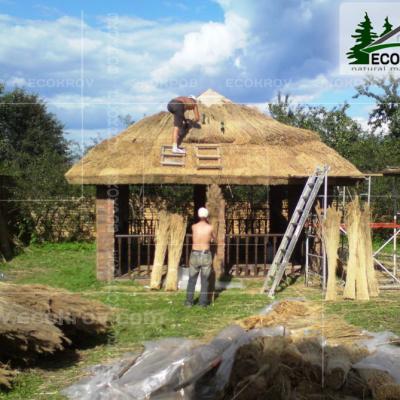 Kamysh Tagankovo 2009 15