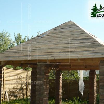 Kamysh Tagankovo 2009 1