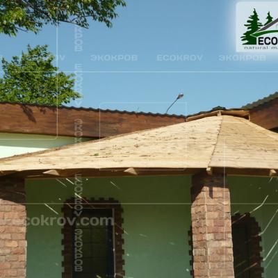 Kamysh Tagankovo 2009 21