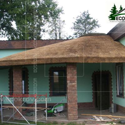 Kamysh Tagankovo 2009 23