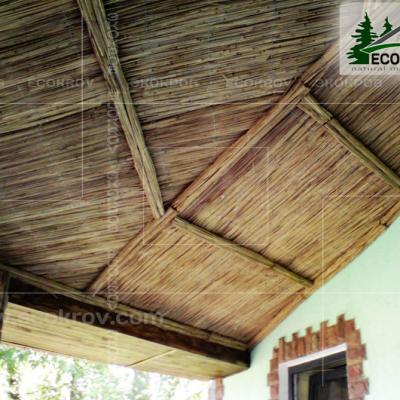 Kamysh Tagankovo 2009 24