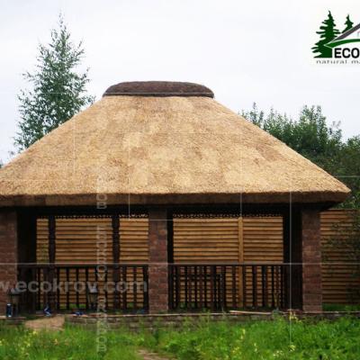 Таганьково. 2009 год