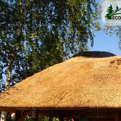 Kamysh Nywriga 2010 11