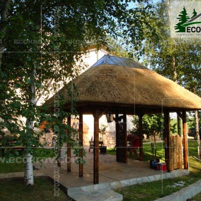 Kamysh Nywriga 2010 1