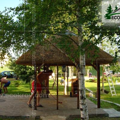 Kamysh Nywriga 2010 2