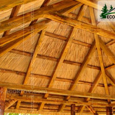 Kamysh Nywriga 2010 4