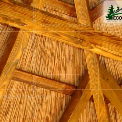 Kamysh Nywriga 2010 5