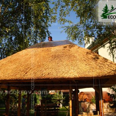 Лесная Богемия. 2010 год