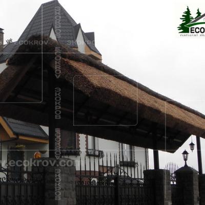 Kamysh Tagankovo 2010 11