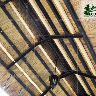 Kamysh Tagankovo 2010 15