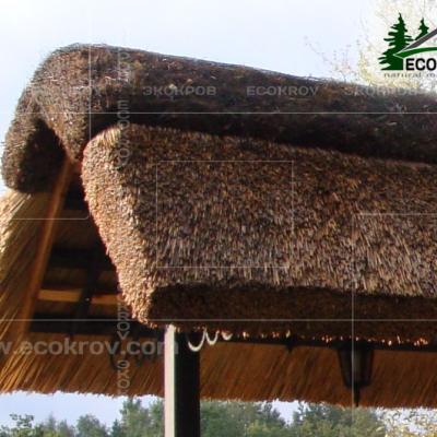 Kamysh Tagankovo 2010 22