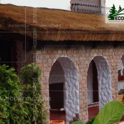 Kamysh Tagankovo 2010 23