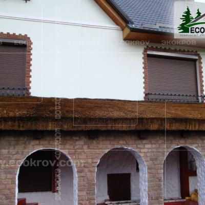 Kamysh Tagankovo 2010 25