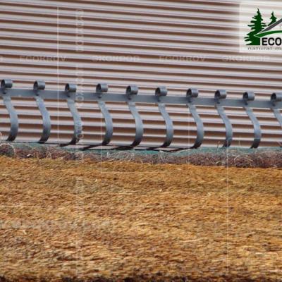 Kamysh Tagankovo 2010 26