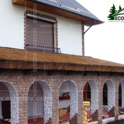 Kamysh Tagankovo 2010 27