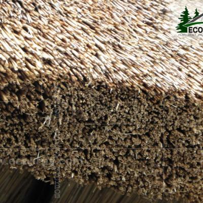 Kamysh Tagankovo 2010 2