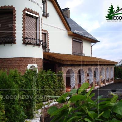 Таганьково. 2010 год